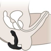 Masażer prostaty wibrator analny 12 sex funkcji + pilot - 76373262 - 4