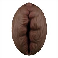 Alien's Pie brązowa sztuczna pochwa masturbator męski - 70015234 - 7