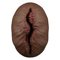 Alien's Pie brązowa sztuczna pochwa masturbator dla mężczyzn - 74644456 - 3